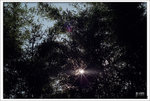 20Jun11scan0009