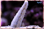 PNG0212