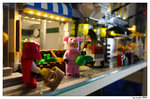 _DSC0342