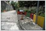 Scan-100905-0010