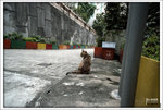 Scan-100905-0011