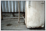 Scan-100905-0016