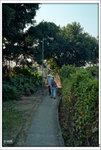 Scan-101103-0003