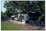 Scan-101103-0004