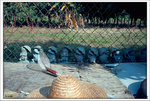 Scan-101103-0005