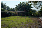 Scan-101103-0006