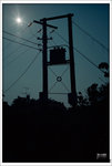 Scan-101103-0007