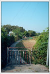 Scan-101103-0008