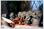 Scan-101108-0001