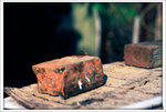 Scan-101108-0002