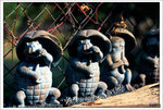 Scan-101108-0003