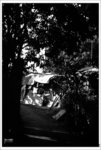 Scan-101109-0009