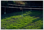 Scan-101109-0011