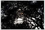 Scan-101109-0012