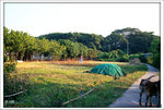 Scan-101109-0014