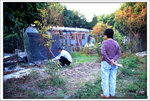 Scan-101109-0015