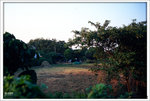 Scan-101109-0023