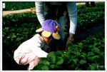 Scan-101224-0003