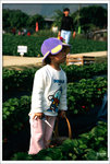 Scan-101224-0005