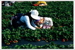 Scan-101224-0006