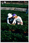 Scan-101224-0007