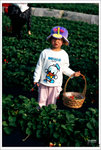 Scan-101225-0001