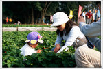 Scan-101225-0003