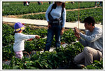 Scan-101225-0004