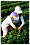 Scan-101225-0005