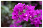 _DSC0086