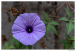 _DSC0092