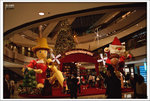Scan-101128-0003