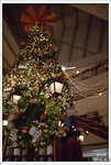Scan-101128-0007