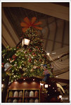 Scan-101128-0008