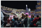 Scan-101128-0013