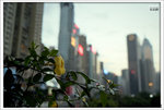 Scan-101129-0004