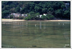 Scan-110212-0009