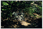 Scan-110213-0020