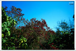 Scan-110213-0021