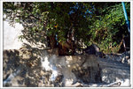 Scan-110213-0034