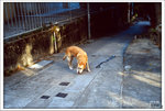 Scan-110213-0036