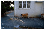 Scan-110213-0037