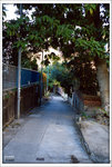 Scan-110213-0038