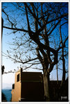 Scan-110214-0010