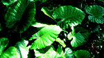 DSC02780