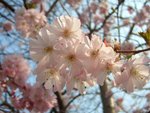 CIMG0053
