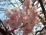 CIMG0054