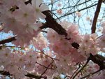 CIMG0055