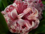 CIMG0068