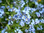 CIMG0069